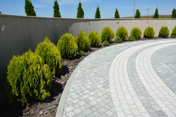 Best Driveway Pavers Near Me  in Carrollton, GA